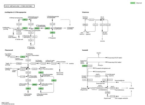 KEGG PATHWAY: Drug metabolism - other enzymes - Reference pathway