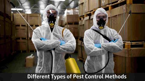 Different Types of Pest Control Methods - Busy Bucket Services