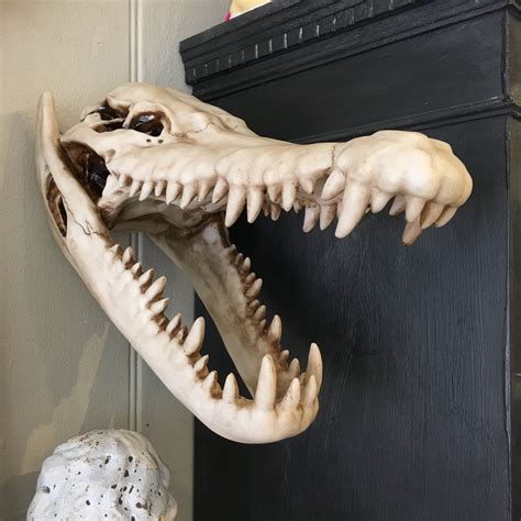 Crocodile Skull Wall Hanging | Crocodile, Wall hanging, Skull