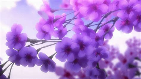 anime flowers tokyo ravens gif | WiffleGif