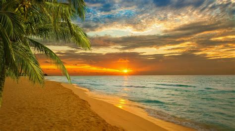 Sunset in the paradise wallpaper - backiee