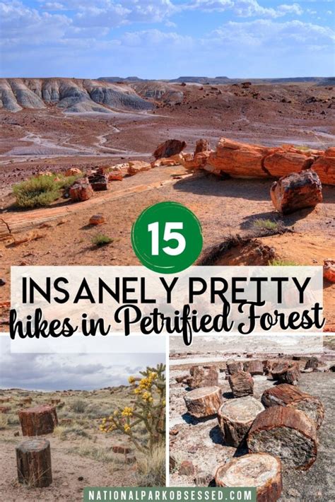 15 ABSOLUTE Best Hikes In Petrified Forest National Park For 2022 ...