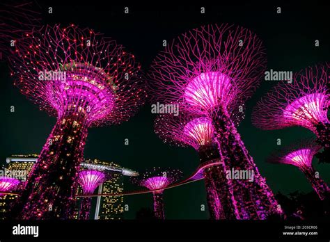 Garden Rhapsody Supertree light show, Gardens by the Bay, Singapore ...