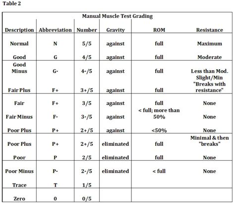 muscle strength scale chart Muscle grading muscles