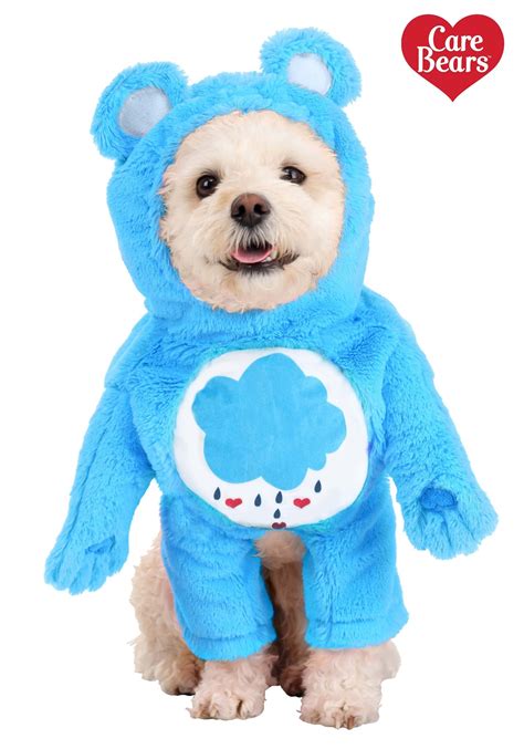 Care Bears Dog Grumpy Bear Costume