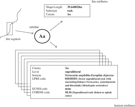 Overall representation of the information shown in ArcMap after ...