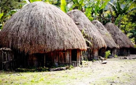 HONAI, THE TRADITIONAL HOUSE OF PAPUA | Indonesian Arts And Culture