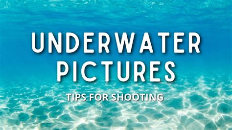 8 Tips For Shooting Stunning Underwater Pictures