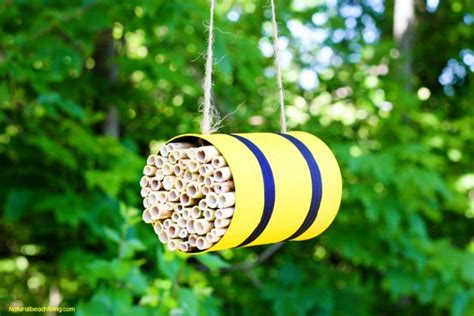 How to Make a Mason Bee Habitat - Perfect Life Cycle of a Bee ...