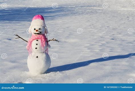 Snowman with carrot nose stock photo. Image of snow - 167205202