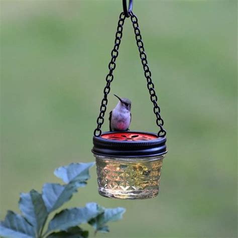 16 DIY Homemade Hummingbird Feeder Ideas to Attract Them to Your Home