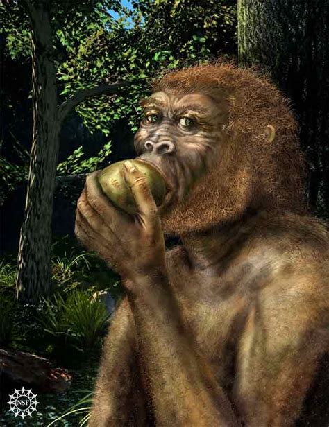 Ancient 'Brain Food' Helped Humans Get Smart | Live Science