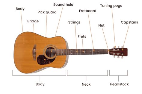 Different Parts Of An Acoustic Guitar