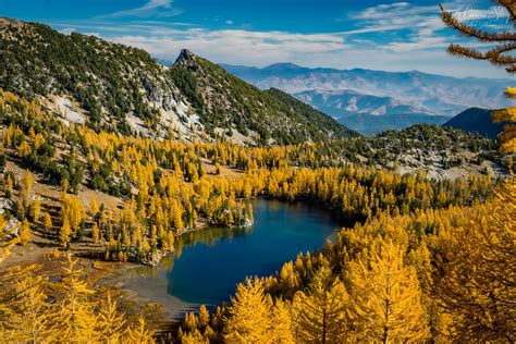 18 Best Larch Hikes in Washington for Magical Fall Colors (2024)