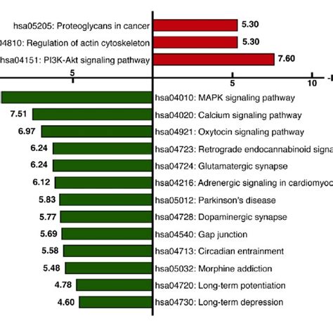 KEGG pathway analysis. KEGG pathway analysis was performed using the ...