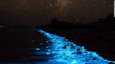 Bioluminescence turns Australia's shores bright blue - CNN.com