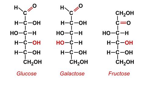 Carbohydrates Structure