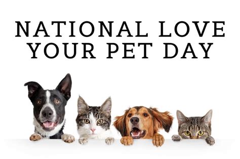 National Love Your Pet Day 2024 Australia Time - Alysa Bertina