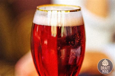 Lambic Beer: Everything You Need To Know About This Belgian Style Beer