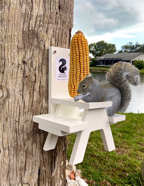 Squirrel Feeder- Picnic Table – Nature Brackets