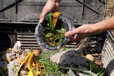 Sampah Sisa Makanan Sudah Mengkhawatirkan - Envira ID | Berita Terkini ...