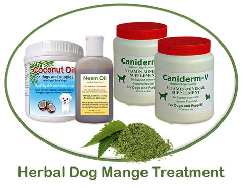 Dog Mange Treatment