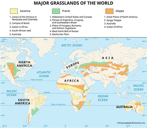 Savanna | African Grasslands, Wildlife & Climate | Britannica