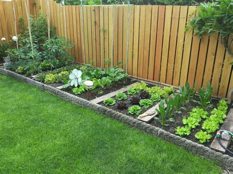 Famous Vegetable Garden Design Ideas Backyard 2023