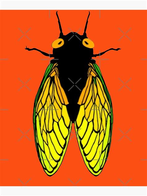 "Cicada Cicadas Invasion Swarm 2021 Summer Bugs Insects" Poster for ...