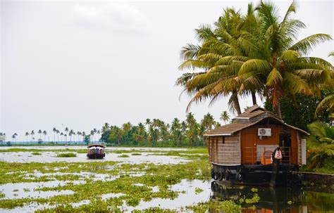 Backwaters of Kochi (2020) - Kerala Tourism - Ultimate guide to Kochi