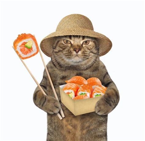 Cat Eating Sushi with Chopsticks 2 Stock Photo - Image of feed, roll ...