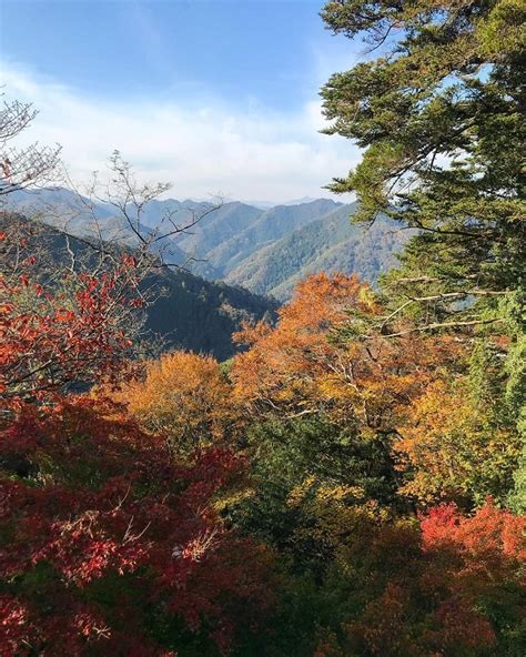 Where to Enjoy Beautiful Autumn Scenery in Japan