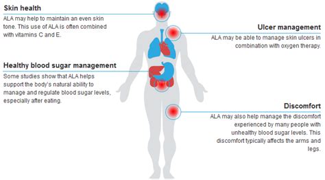 Alpha Lipoic Acid | Health Benefits of Alpha Lipoic Acid