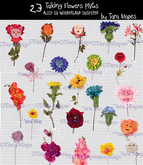 23 Talking Flowers - Talking Flowers Bundle of 23 Overlays with Funny ...