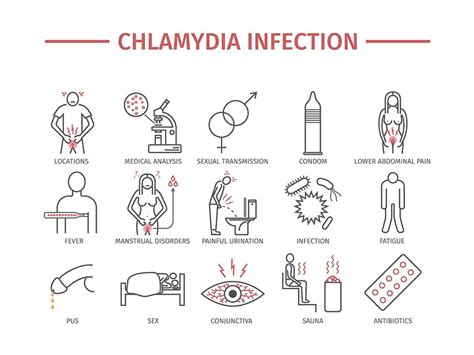 Chlamydia in Men | symptoms, diagnosis, treatments