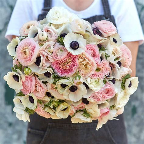 Ranunculus Bulbs | Fresh Flower Bulbs | Flower Bulb Farm