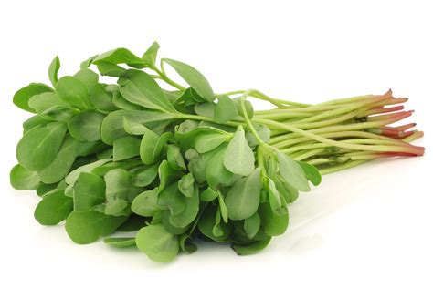 Purslane facts and health benefits