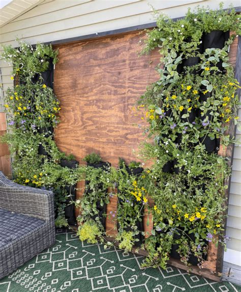 How I designed an easy diy outdoor living wall - A Life Unfolding