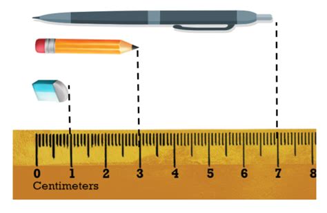 Pair the objects with their length.