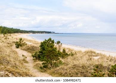 Ahus Sweden Sandy Beach Landscape Pine Stock Photo 1084982471 ...