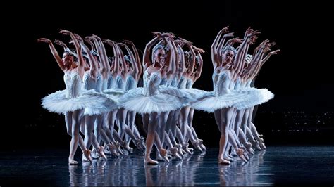 Swan Lake - The Choreography | The Australian Ballet