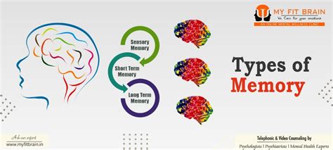 Types of Memory - Review of The Decade | My Fit Brain