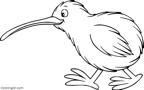 Kiwi Bird Coloring Pages (21 Free Printables) - ColoringAll