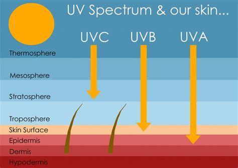 Ultraviolet Light Disinfection: How Is Germicidal UV Being Used Around ...