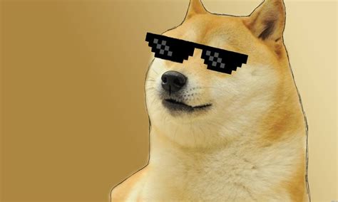 76 Doge Meme Anjing Shiba Inu