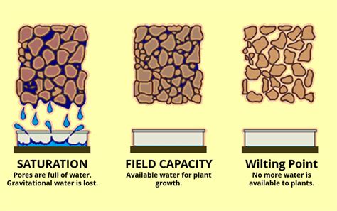 The Ultimate Guide to Soil Moisture - ConnectedCrops