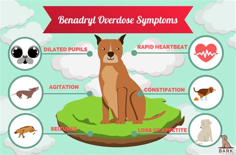 Benadryl For Dogs: Indications, Considerations, And Everything Else You ...