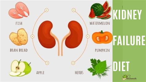 Diet plan for kidney failure patient | Diet2Nourish