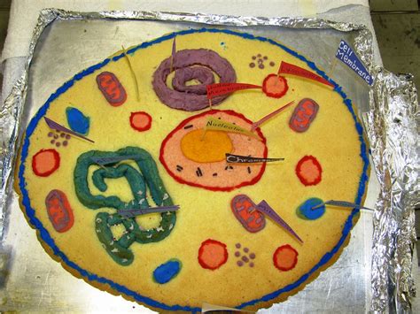 Plant Cell Project Cake