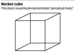 Tactile illusions 2: Perceptual rivalry | New Scientist